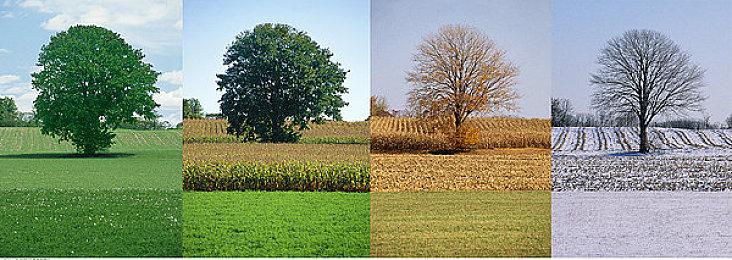 外媒：Switch 2能呈现超越PS4的画质 40帧在120hz屏幕上更常见